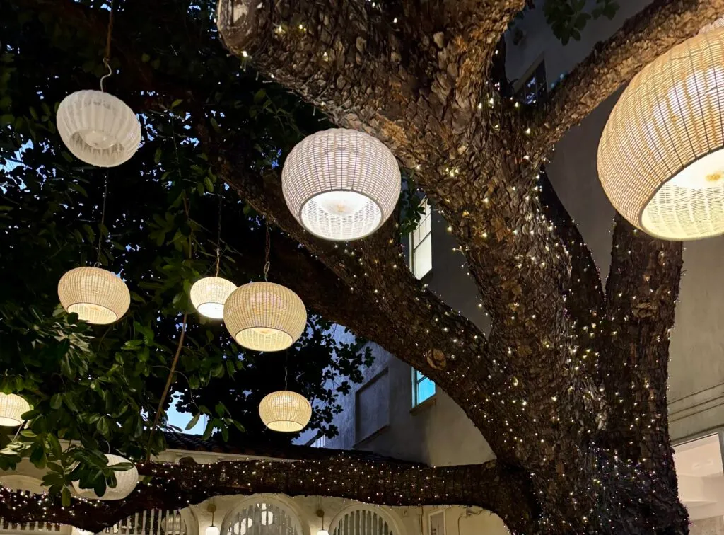 Glowing wicker lanterns in a tree wrapped in string lights on the outdoor patio at Motek South Beach