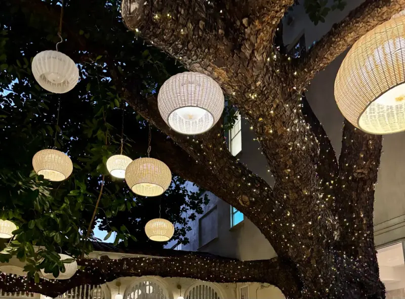 WHERE TO EAT IN MIAMI